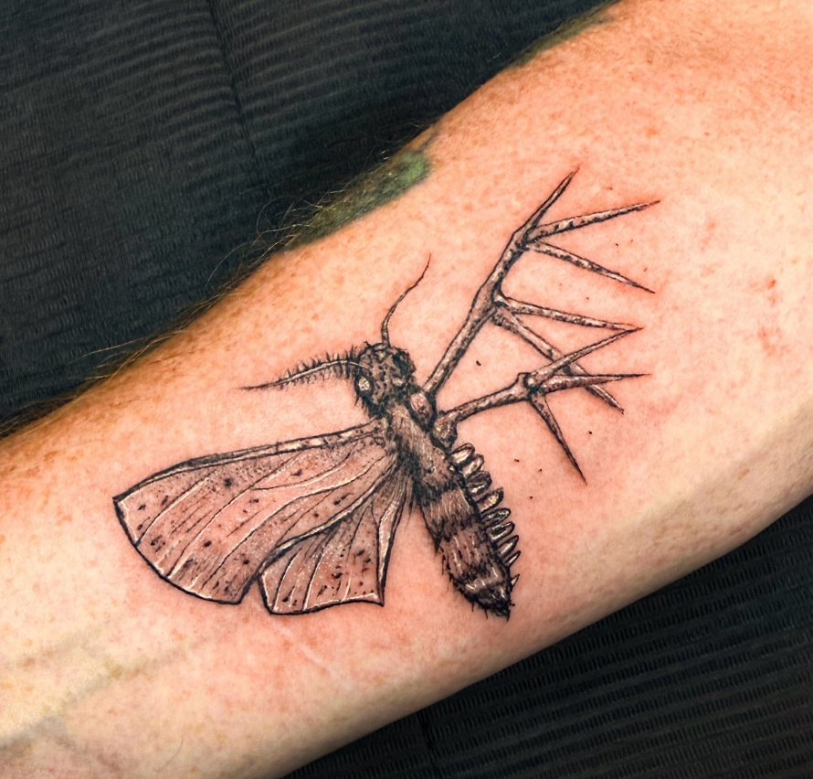 blackwork tattoo Mallorca tattoo studio